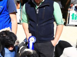 2019_ausstellung polling_423